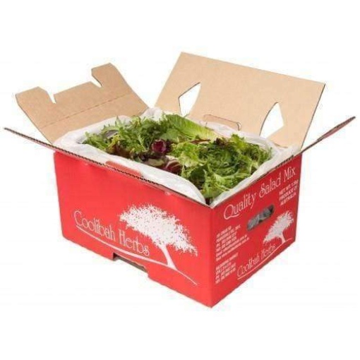 Salad Mixed 1.5 Kg Box