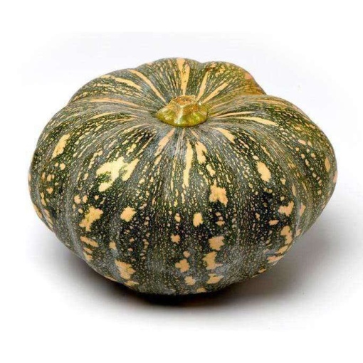 Pumpkin Jap (4.4kg)
