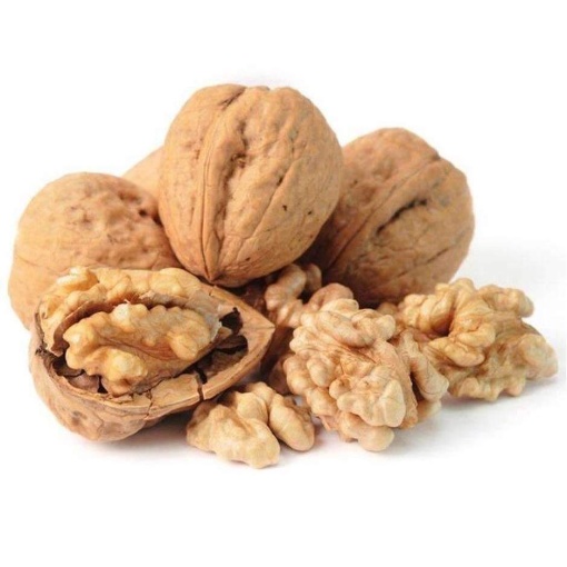 Walnut In Shell
