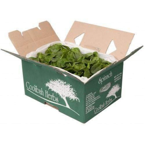 Salad Baby Spinach 1.5Kg Box