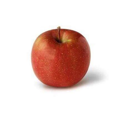 Apple Fuji Asian (295 grams)
