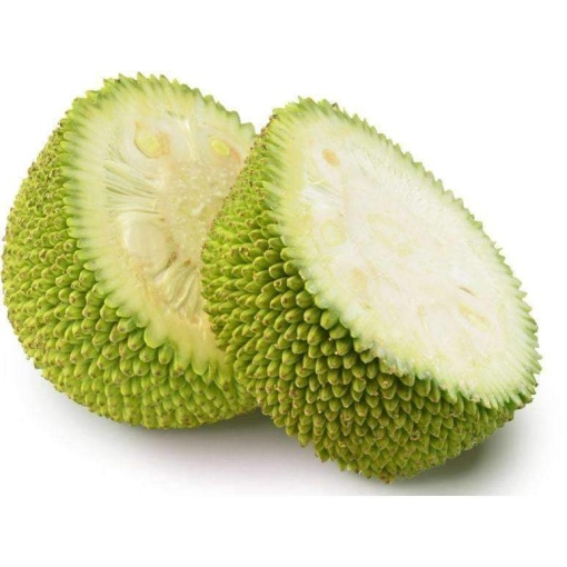 Jackfruit Young