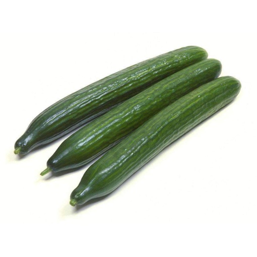 Cucumber Telegraph