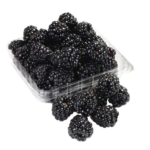 Blackberry Premium (Punnet)