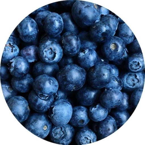 Premium Blueberry Jumbo