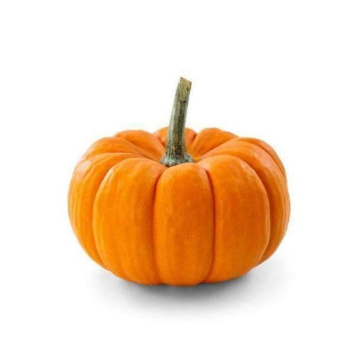 Pumpkin Halloween