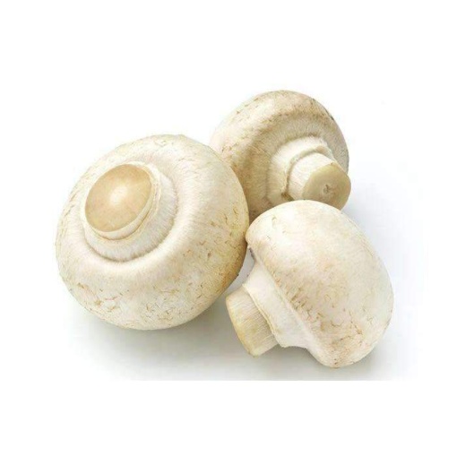 Button Mushroom