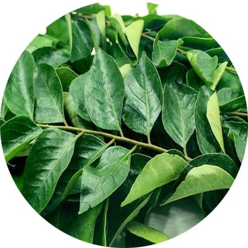 Curry Leaves