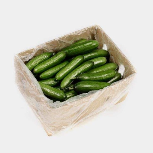 Cucumber Lebanese Box 10kg