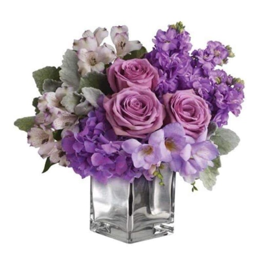 Lavender Mum
