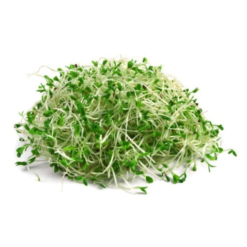Sydney Bean'S Alfalfa Sprouts 120G