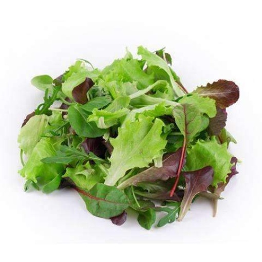 baby lettuce mix 1x1 2 56731f0e c17d 4830 b85b ee9d5ba101c2