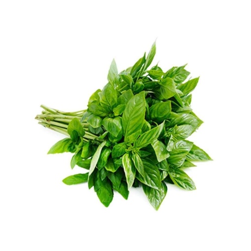 Basil Green