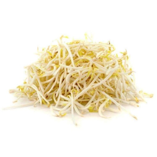 Bean Sprout