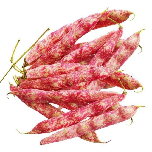Beans Borlotti