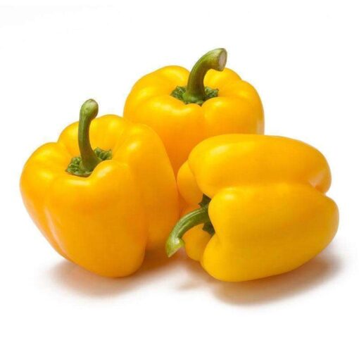 Capsicum Yellow