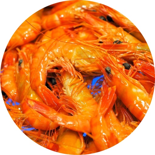 Cooked Large Vannamei Prawn