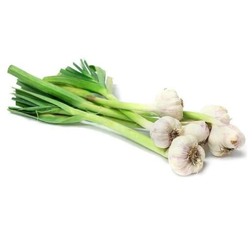 freshgarlic dc265c89 d9d8 428f 969a 125f7678f866