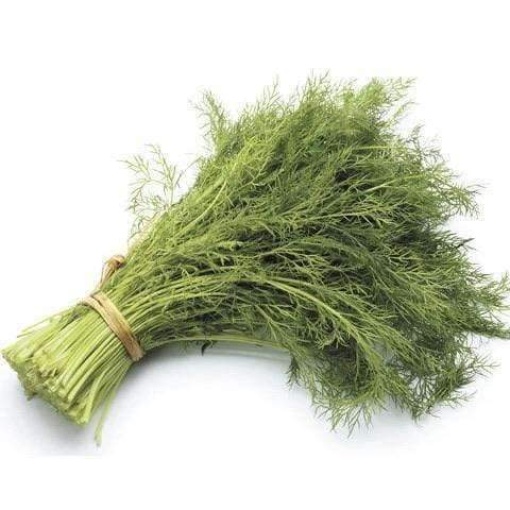 Dill (Bunch)