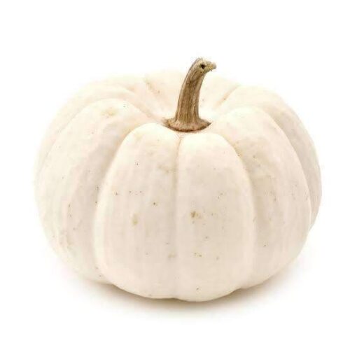 White/Albino Pumpkin 550g