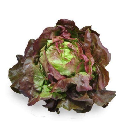 Lettuce Living Mignonette Leaves (Large Red) (Each)