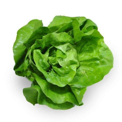 Lettuce Living Butter Leaves (Each)
