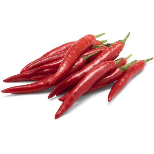 CHILLI LONG RED