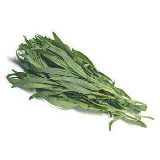 Tarragon (10G Punnet)
