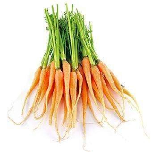 Carrot Dutch