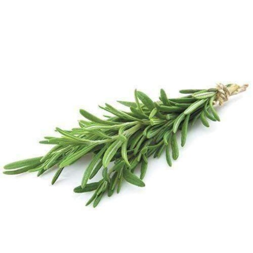 Rosemary (10G Punnet)