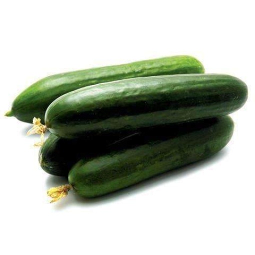 Cucumber Lebanese