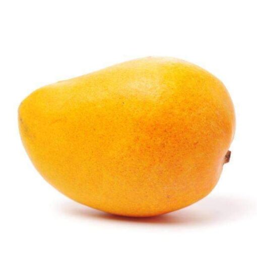 Mango Kensington Pride