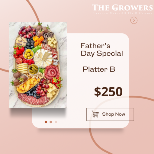 Platter B
