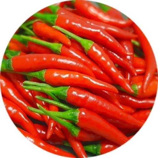 Chilli Birds Eye