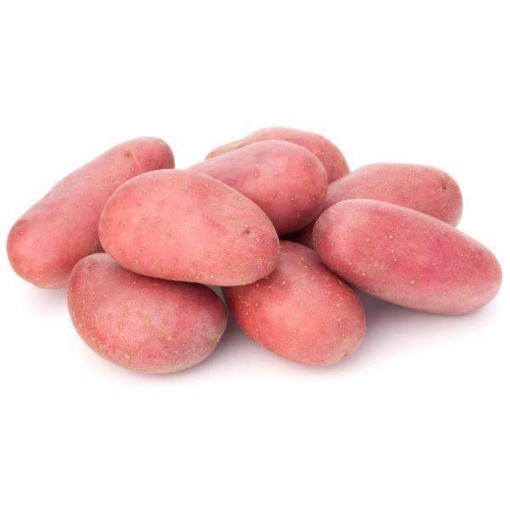 Potato Desiree