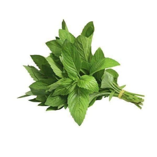 Mint Round (Bunch)