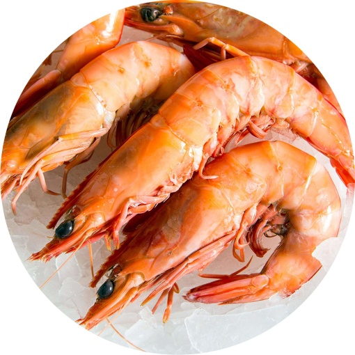 Cooked Sea Caught King Prawn