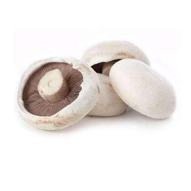 Mushroom Flat