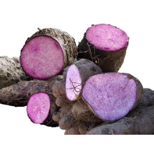 Yam Purple