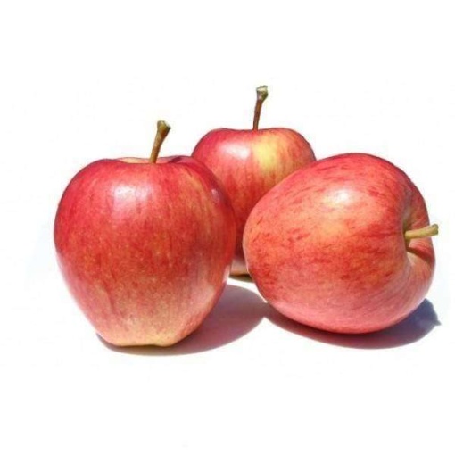 Apple Royal Gala Small