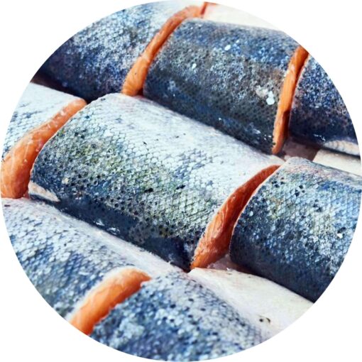 skinonsalmon 40ac6bef 6e82 4eed b27e cfcd0b442ed4 scaled