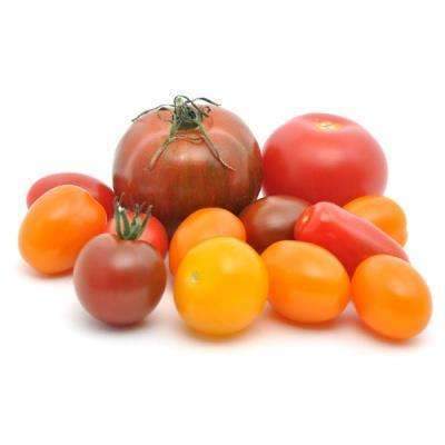 Tomato Mix Medley