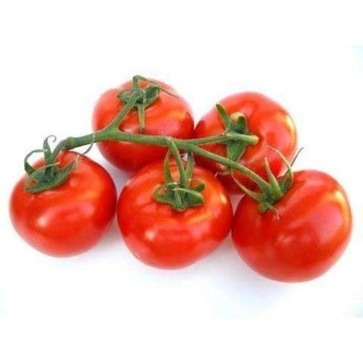 TRUSS TOMATO