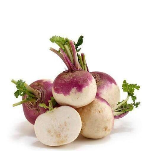 whiteturnip 2 7c7fa3b4 7f2f 4750 b127 b6df3e1b788f