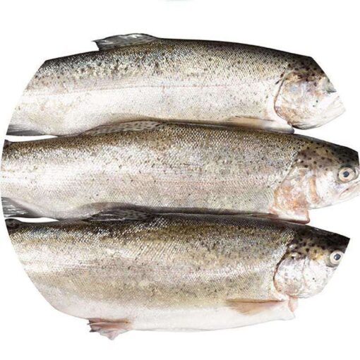 wholetrout f5f4e206 d984 4f58 ad3b ad3d44a34908